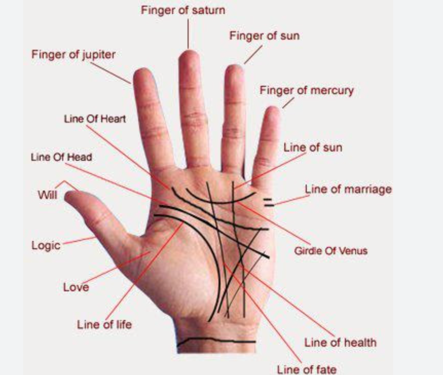 Palm Reading
